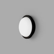 Bode Round Wall/Ceiling Light gallery detail image