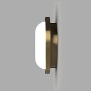 Bode Round Wall/Ceiling Light gallery detail image