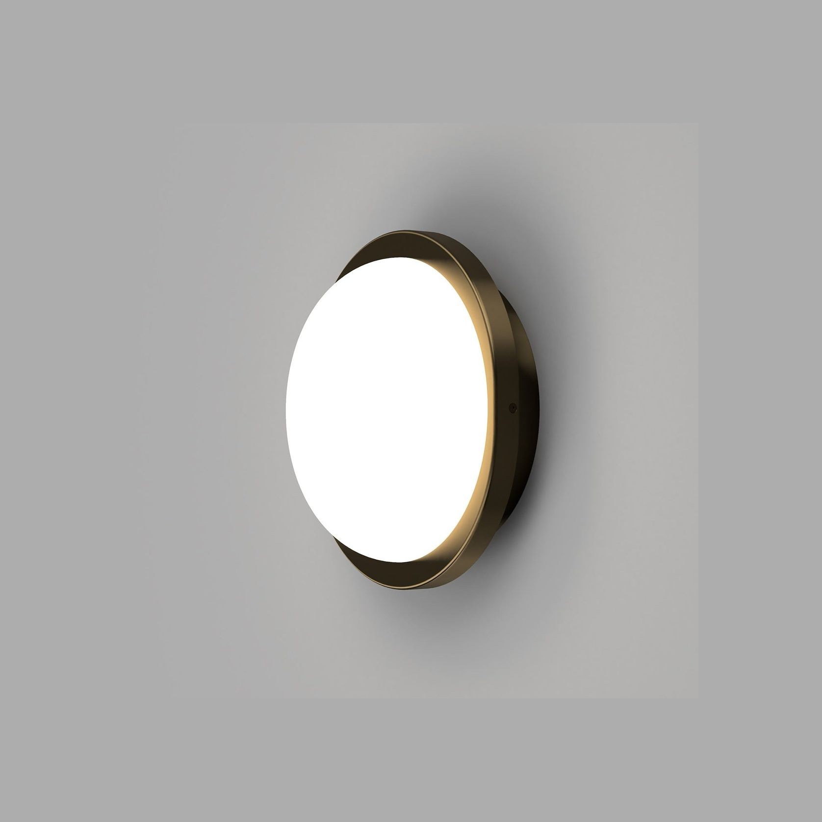 Bode Round Wall/Ceiling Light gallery detail image