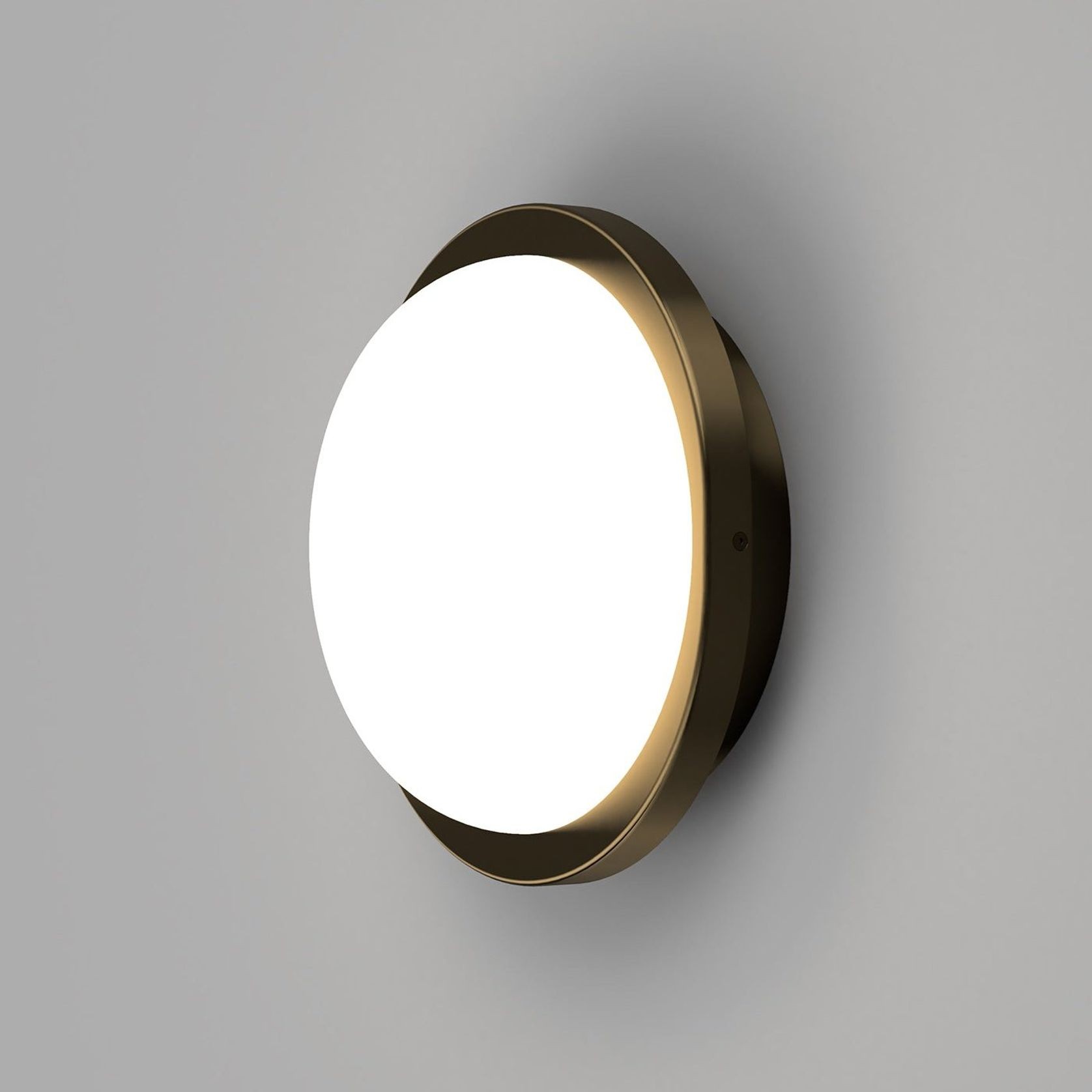 Bode Round Wall/Ceiling Light gallery detail image