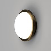 Bode Round Wall/Ceiling Light gallery detail image