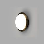 Bode Round Wall/Ceiling Light gallery detail image