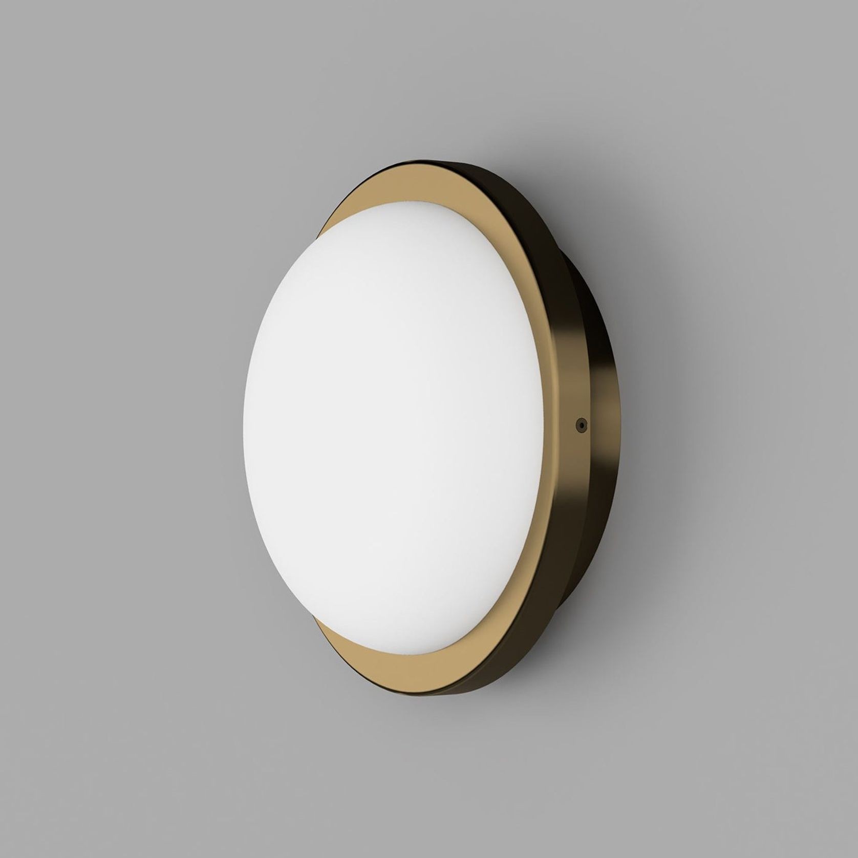Bode Round Wall/Ceiling Light gallery detail image