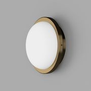 Bode Round Wall/Ceiling Light gallery detail image