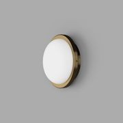 Bode Round Wall/Ceiling Light gallery detail image