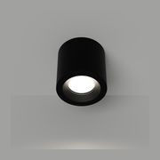 Lumina Ceiling Light gallery detail image