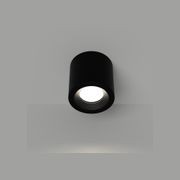 Lumina Ceiling Light gallery detail image