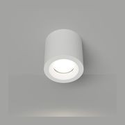 Lumina Ceiling Light gallery detail image