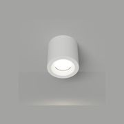 Lumina Ceiling Light gallery detail image