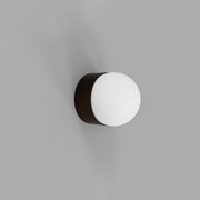 Orb Sur Mini Wall Light gallery detail image