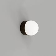 Orb Sur Mini Wall Light gallery detail image