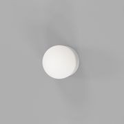 Orb Sur Mini Wall Light gallery detail image