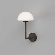 Orb Dome Long Arm Wall Light gallery detail image