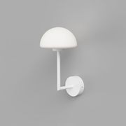 Orb Dome Long Arm Wall Light gallery detail image