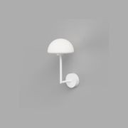 Orb Dome Long Arm Wall Light gallery detail image