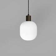 Parlour Curve Pendant Light gallery detail image