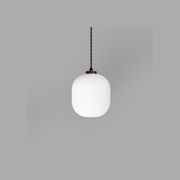 Parlour Curve Pendant Light gallery detail image