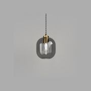 Parlour Curve Pendant Light gallery detail image