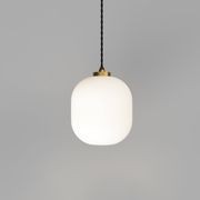 Parlour Curve Pendant Light gallery detail image