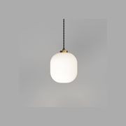 Parlour Curve Pendant Light gallery detail image