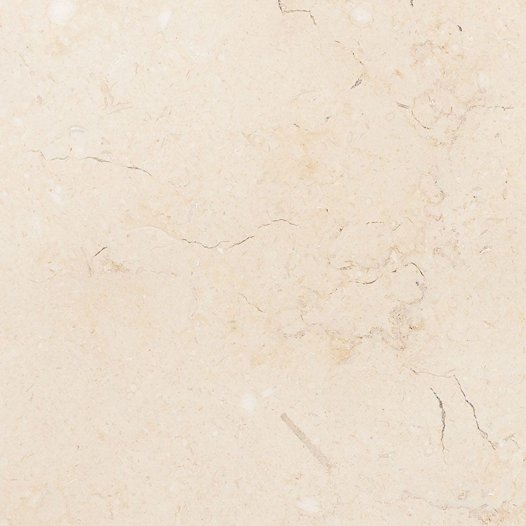 Limestone Capbreton |  Pavers & Tiles gallery detail image