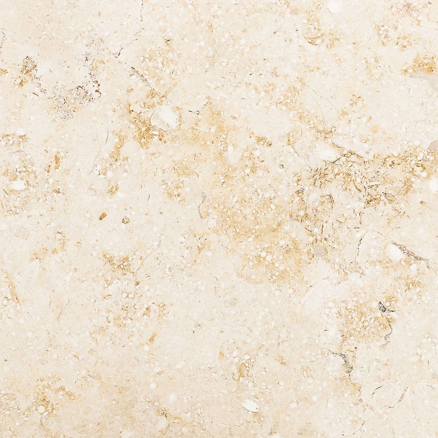 Limestone Capbreton | 600x600x15 gallery detail image