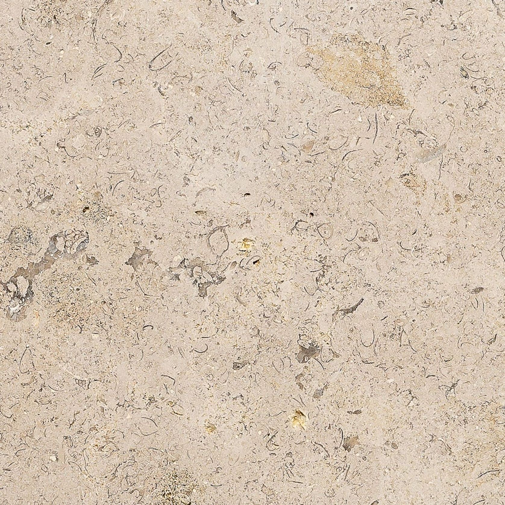 Limestone Hossegor | 600x900x15 gallery detail image