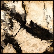 Lizard Artwork gallery detail image