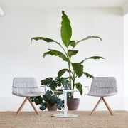 Maarten Lounge Chair - Wooden Swivel Base & Soft Upholstery gallery detail image