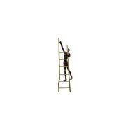 Man Climbing On Ladder gallery detail image