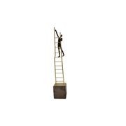 Man Climbing On Ladder gallery detail image