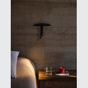 Konoha gallery detail image