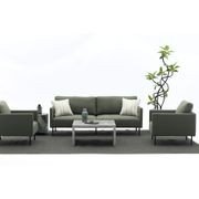 Milan 2-Seater Lounge Set - Green gallery detail image