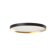 Moon-D900 gallery detail image