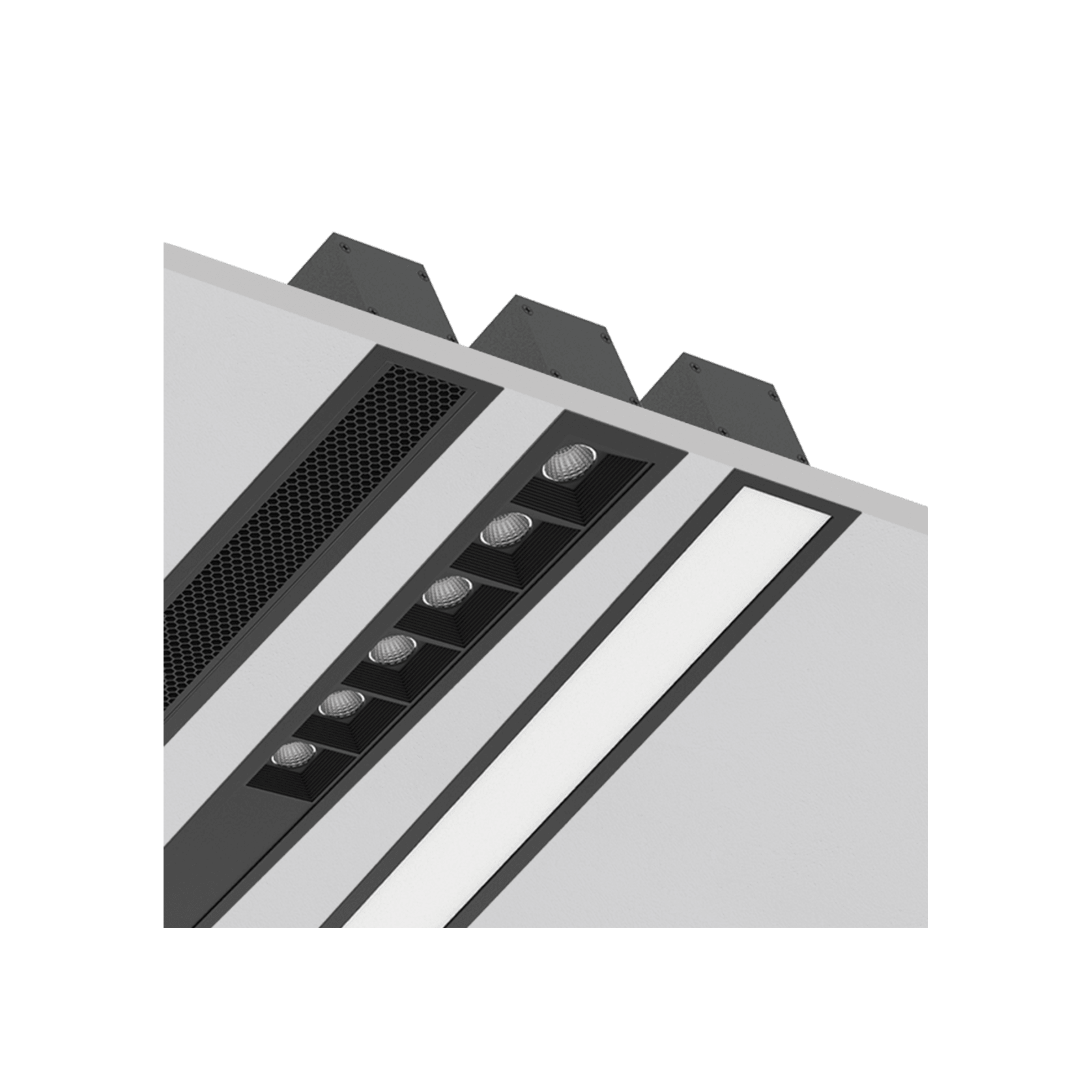 Morph-50-REC gallery detail image