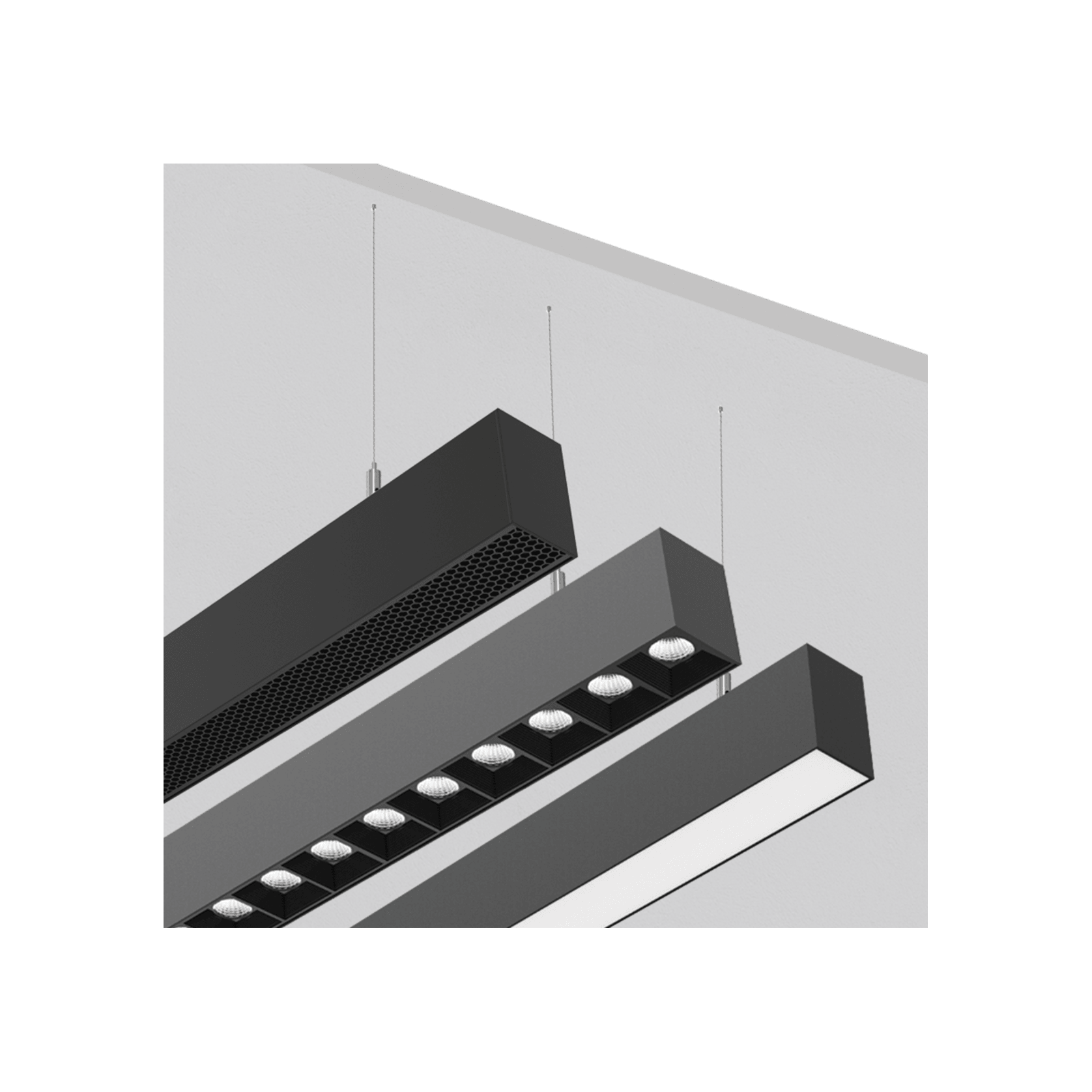 Morph-50-SUS gallery detail image