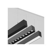 Morph-50-SUS gallery detail image