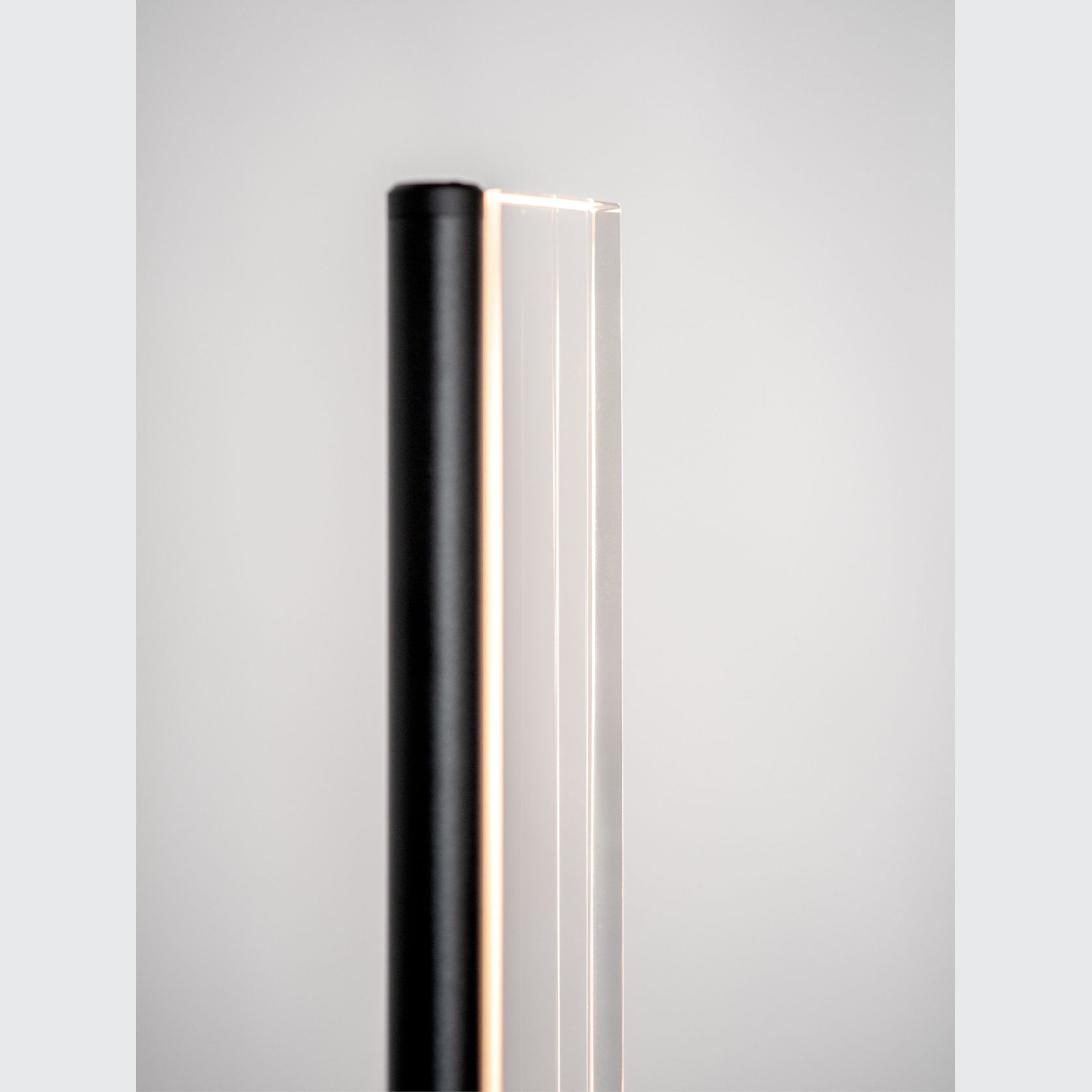 Napier gallery detail image