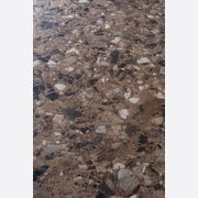Neoclassica Collection | Floor & Wall Tile gallery detail image