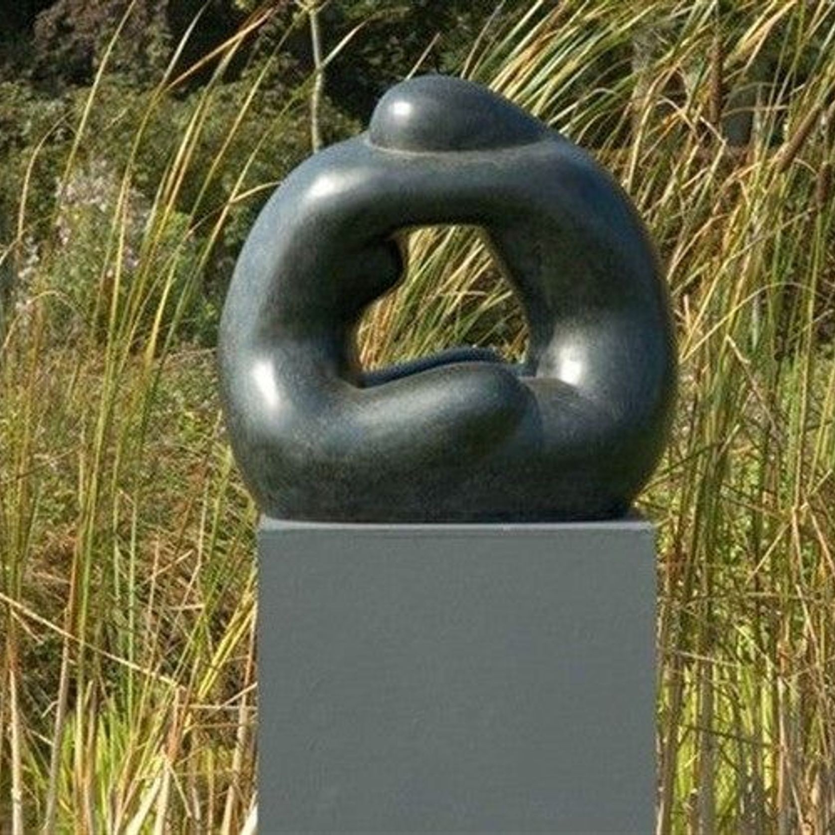 Samen gallery detail image