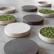 PL gallery detail image