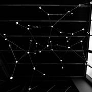 Ramus gallery detail image