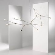 Ramus gallery detail image