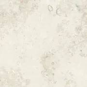 Regalia Ice Soft Texture 60x60 gallery detail image