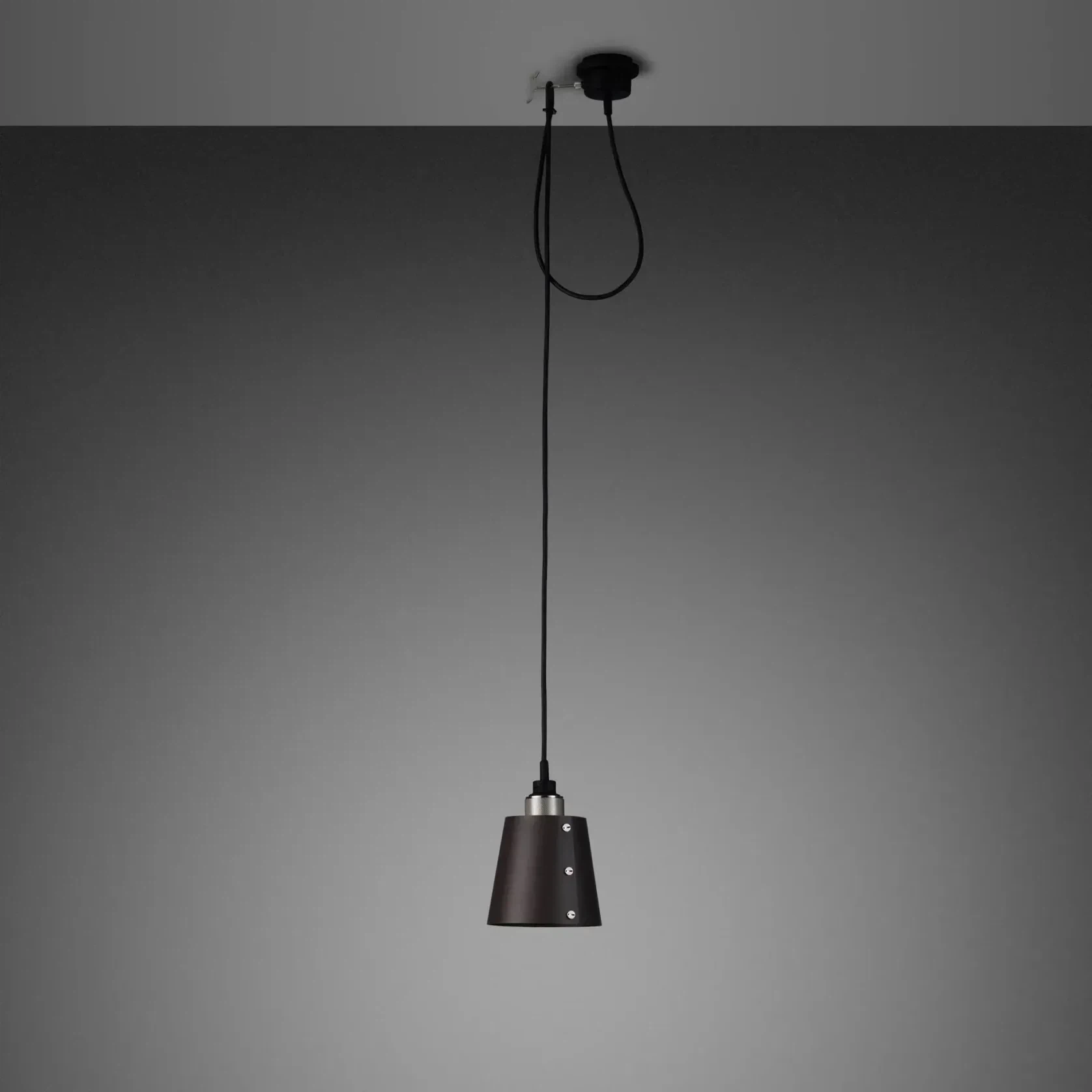 Hooked 1.0 Pendant gallery detail image