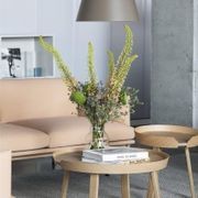 Around Coffee Table gallery detail image