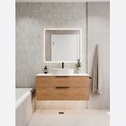 Euro 900 Rectangle LED Mirror gallery detail image