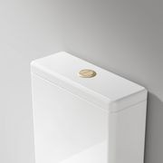Universal Coloured Toilet Flush Button | 50Ø mm gallery detail image