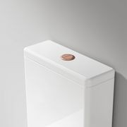 Universal Coloured Toilet Flush Button | 50Ø mm gallery detail image