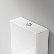 Universal Coloured Toilet Flush Button | 50Ø mm gallery detail image